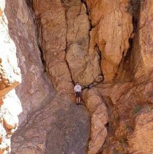 Meet your Posher, Parker